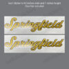 - Indian Motorcycle Springfield Thunder stroke Decal Sticker