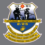 2nd Battalion 25th Marine 2/25 Reserve Infantry USMC Military Vinyl Bumper Sticker Window Decal
