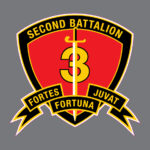 2nd Battalion 3rd Marine Corps Hawaii USMC Military Vinyl Bumper Sticker Window Decal